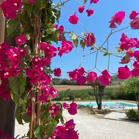 Rina Гостевой дом Пезаро