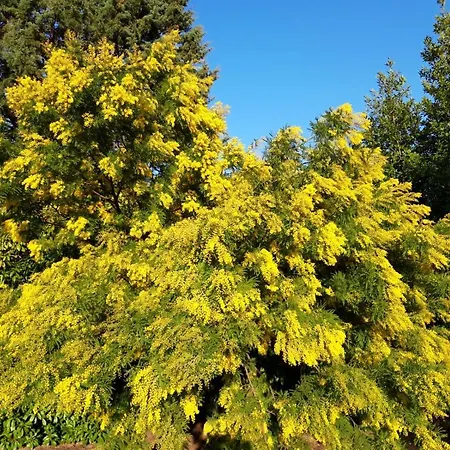 Gæstehus Rina Pesaro