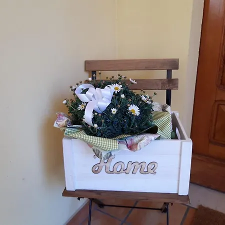 Rina * Pesaro